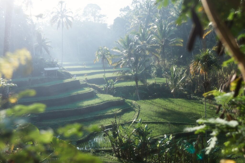 Bali retreat